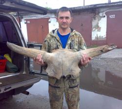 post-6685-0-15859900-1369065357_thumb.jp