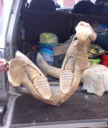 post-6685-0-54829600-1369065304_thumb.jp