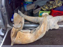 post-6685-0-95053100-1369065285_thumb.jp