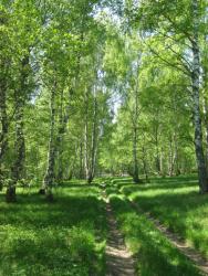 post-6726-0-79609700-1368885206_thumb.jp