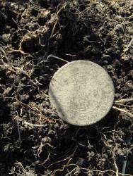 post-6890-0-16462000-1367690335_thumb.jp