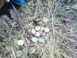 post-6890-0-24888500-1368474786_thumb.jp