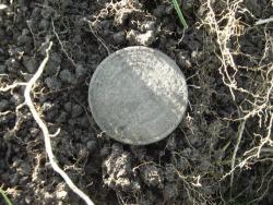 post-6890-0-38603800-1367690702_thumb.jp