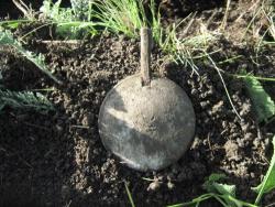 post-6890-0-48931500-1367690353_thumb.jp