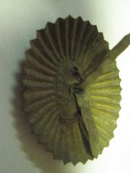 post-6890-0-57592700-1368989453_thumb.jp