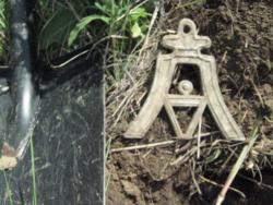 post-6890-0-91265100-1369585435_thumb.jp