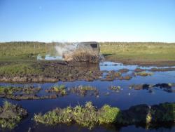 post-7121-0-29677000-1369930759_thumb.jp