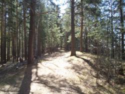 post-7121-0-33391800-1369930826_thumb.jp