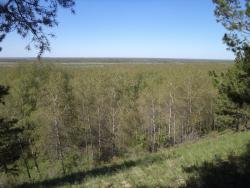 post-7121-0-63568300-1369930961_thumb.jp