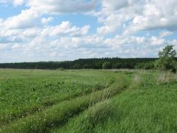 post-7566-0-73182900-1369825780_thumb.jp