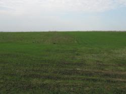 post-7566-0-86247100-1367737064_thumb.jp