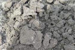 post-8327-0-99565500-1368199406_thumb.jp