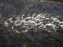 post-10462-0-42630400-1401252467_thumb.j