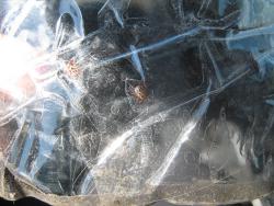 post-1131-0-61795500-1399741871_thumb.jp