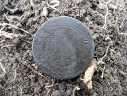 post-12373-0-00553700-1399391990_thumb.j