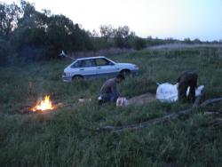 post-12373-0-03303000-1401030618_thumb.j