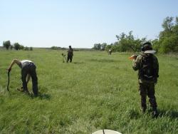 post-12373-0-04435900-1401032964_thumb.j