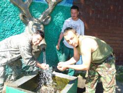 post-12373-0-25202400-1401034887_thumb.j