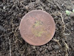 post-12373-0-47164100-1399392373_thumb.j