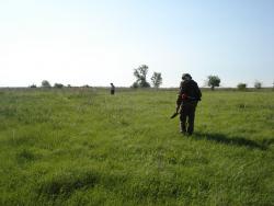 post-12373-0-77456700-1401032840_thumb.j