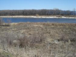 post-12373-0-82813000-1400223898_thumb.j