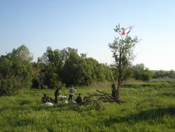 post-12373-0-92925500-1401032081_thumb.j