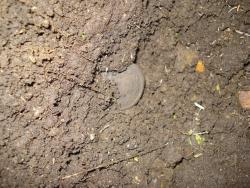 post-12373-0-94632100-1399371889_thumb.j