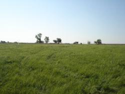 post-12373-0-95775900-1401034686_thumb.j