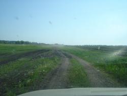 post-12373-0-99037000-1401030237_thumb.j