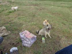 post-1580-0-29978000-1400257683_thumb.jp