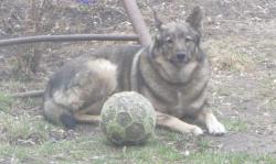 post-16248-0-32700700-1400140012_thumb.j