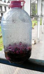 post-19230-0-15577700-1399891230_thumb.j