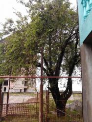 post-19230-0-22988100-1399276892_thumb.j