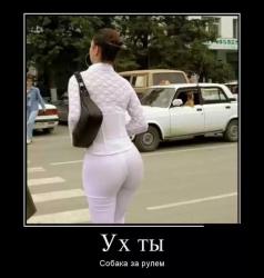 post-19230-0-45352800-1399378445_thumb.j