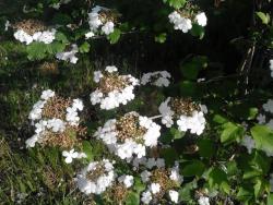 post-19230-0-50518400-1399128621_thumb.j