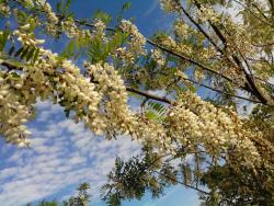 post-19230-0-62181800-1399047033_thumb.j