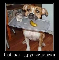 post-19230-0-85808200-1399378474_thumb.j