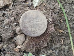 post-20472-0-04094900-1400332836_thumb.j