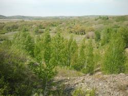 post-20472-0-11137900-1400332507_thumb.j