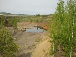 post-20472-0-37323300-1400332505_thumb.j