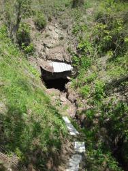 post-20472-0-63034500-1400332739_thumb.j