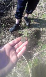 post-26894-0-93725500-1401090045_thumb.j