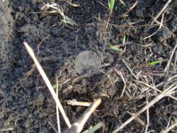 post-27127-0-19207900-1399029855_thumb.j