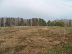 post-27127-0-52102900-1399029854_thumb.j