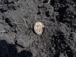 post-27127-0-64269100-1399030084_thumb.j