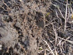 post-27127-0-86384400-1399029855_thumb.j