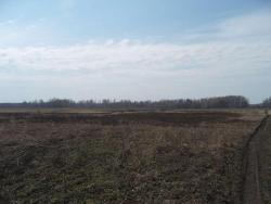 post-27127-0-92193700-1399030083_thumb.j