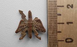 post-28006-0-12528800-1401022270_thumb.j