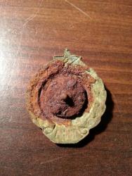 post-28857-0-61899500-1400522156_thumb.j