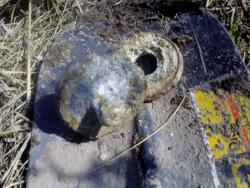 post-29636-0-68589500-1399118847_thumb.j